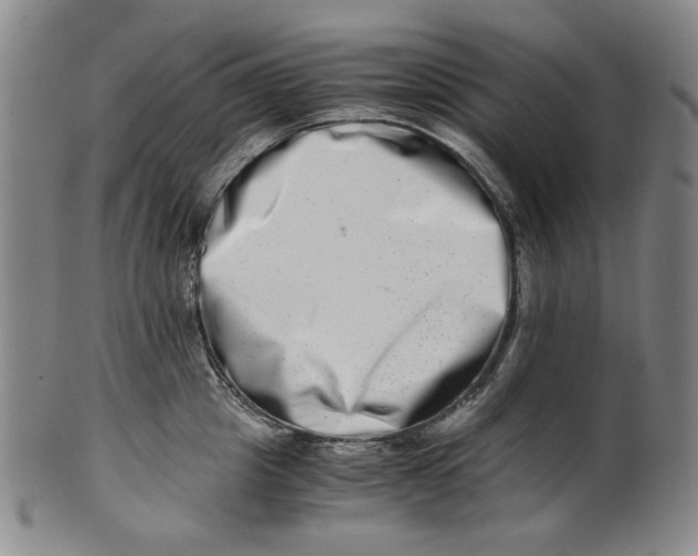 X0000100400857200806271419