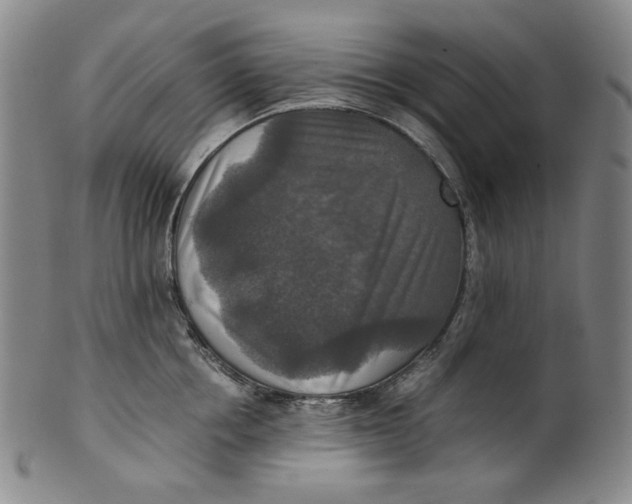 X0000100400858200806271419