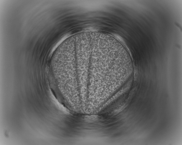 X0000100400859200806271419