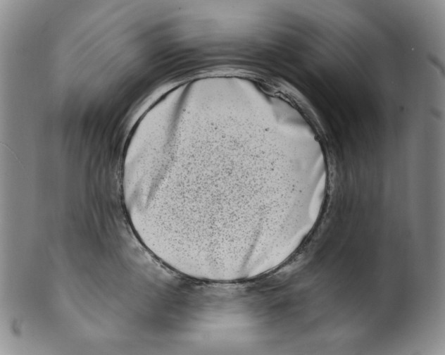 X0000100400860200806271419