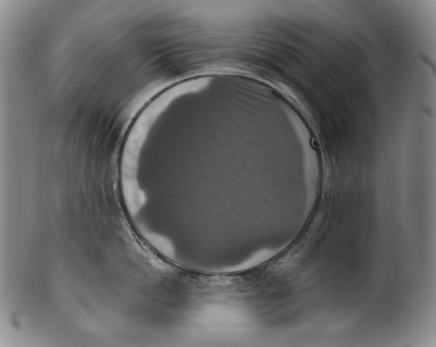 X0000100400862200806271419