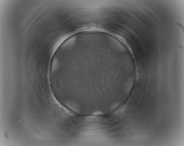 X0000100400863200806271419