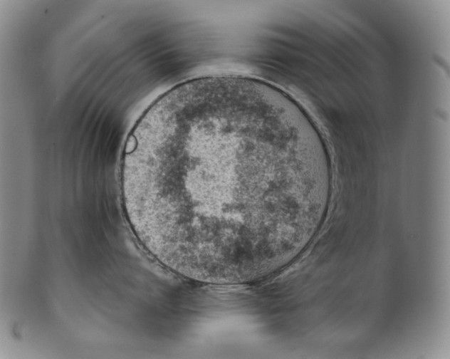 X0000100400864200806271419
