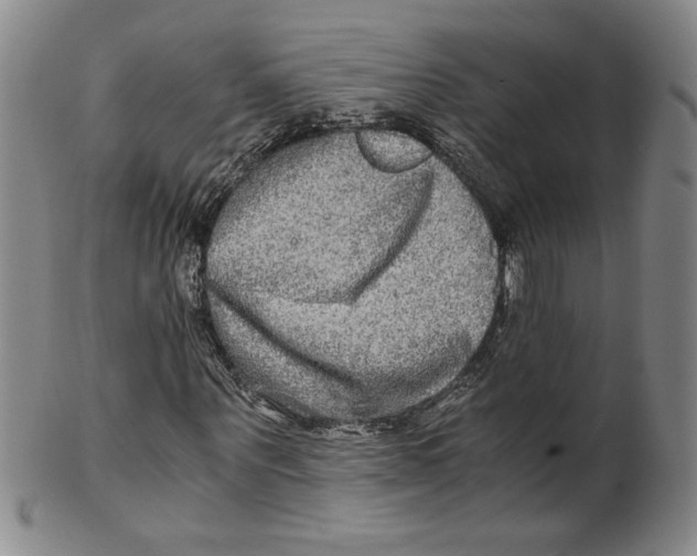 X0000100400867200806271418