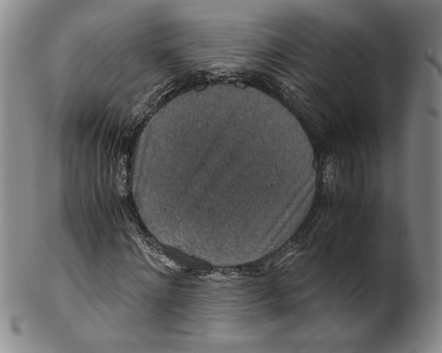 X0000100400868200806271418