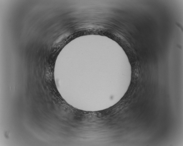 X0000100400869200806271418