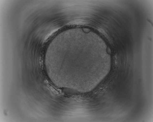 X0000100400872200806271418