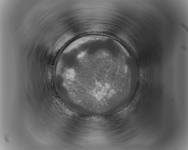 X0000100400874200806271418