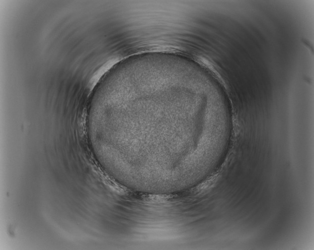 X0000100400875200806271418
