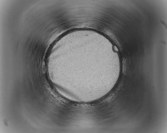 X0000100400876200806271418