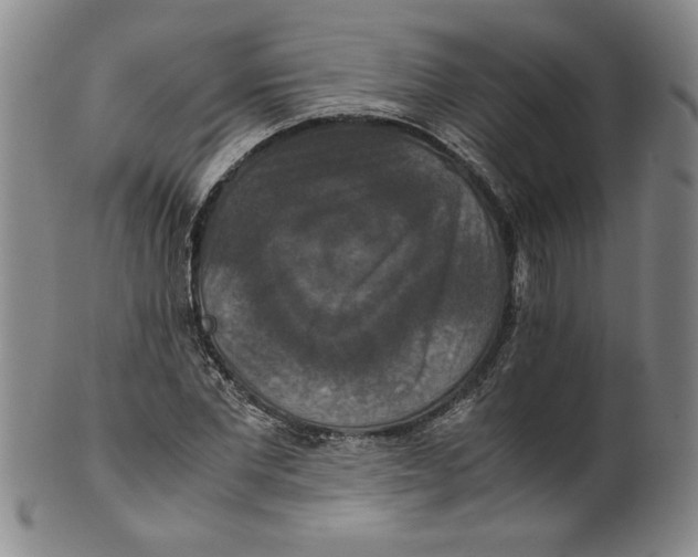 X0000100400877200806271418