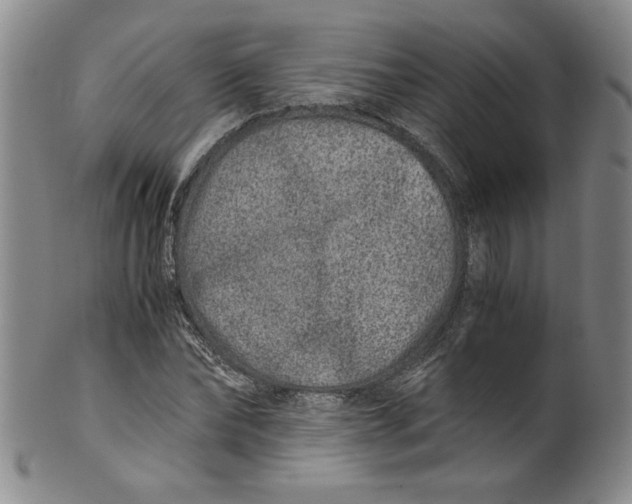 X0000100400878200806271418