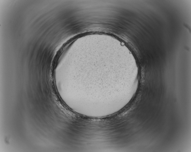 X0000100400880200806271418