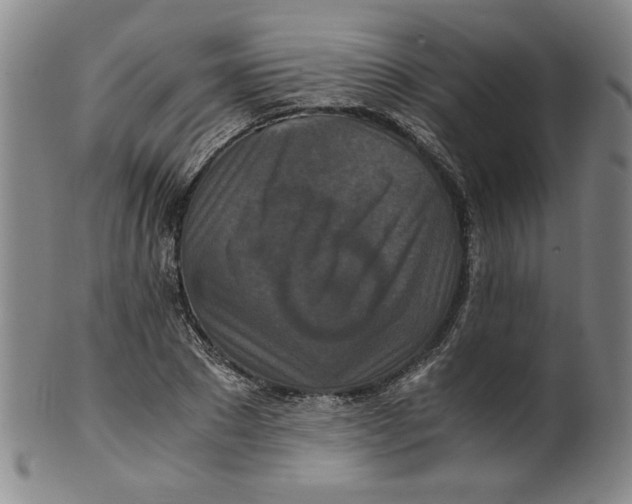 X0000100400881200806271418