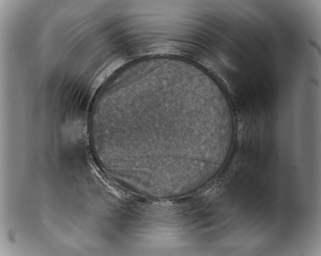 X0000100400882200806271418