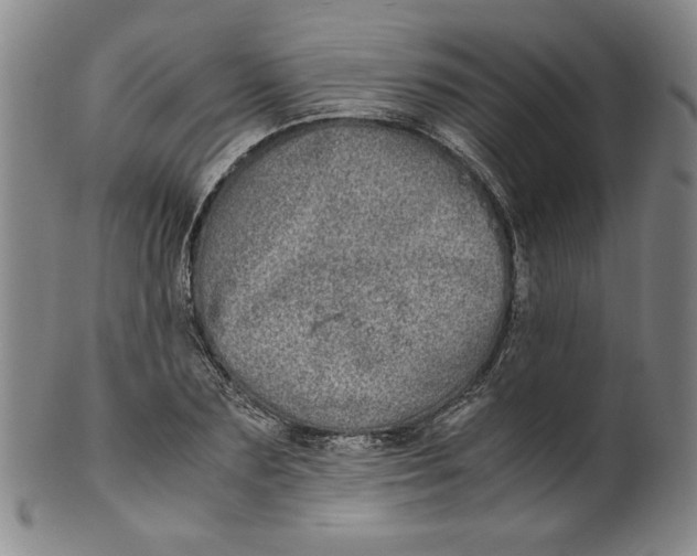 X0000100400883200806271418