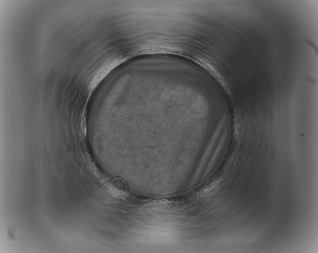 X0000100400885200806271418