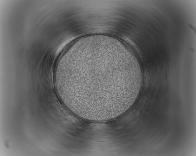 X0000100400886200806271418