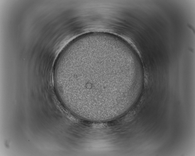 X0000100400887200806271418