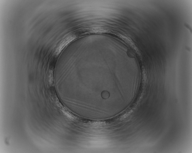 X0000100400889200806271418
