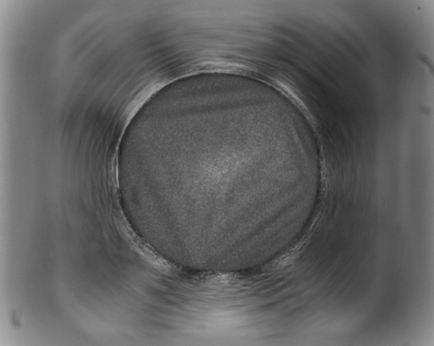 X0000100400891200806271418