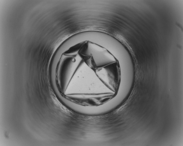 X0000100400892200806271418