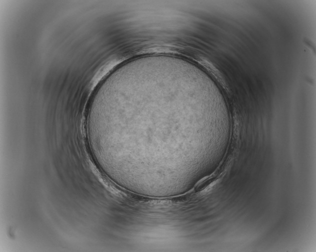 X0000100400893200806271418