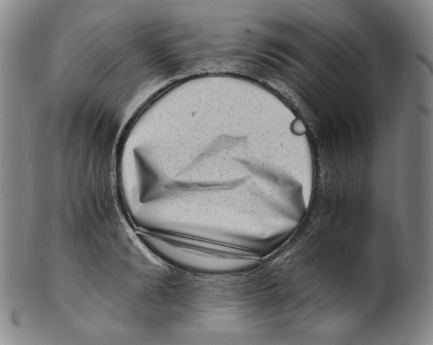 X0000100400894200806271418