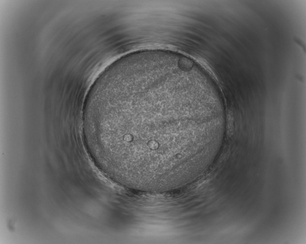 X0000100400895200806271418