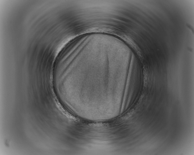 X0000100400896200806271418