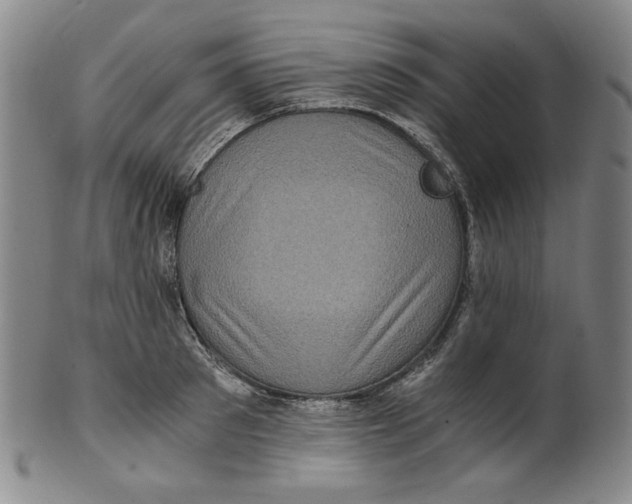 X0000100400897200806271418