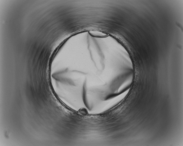 X0000100400902200806271417