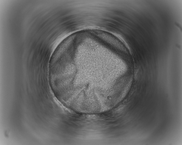 X0000100400903200806271417