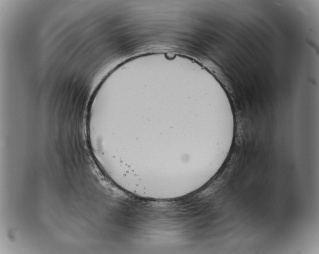 X0000100400904200806271417