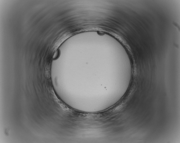 X0000100400905200806271417