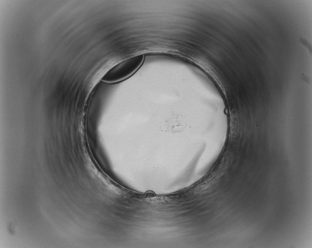 X0000100400906200806271417