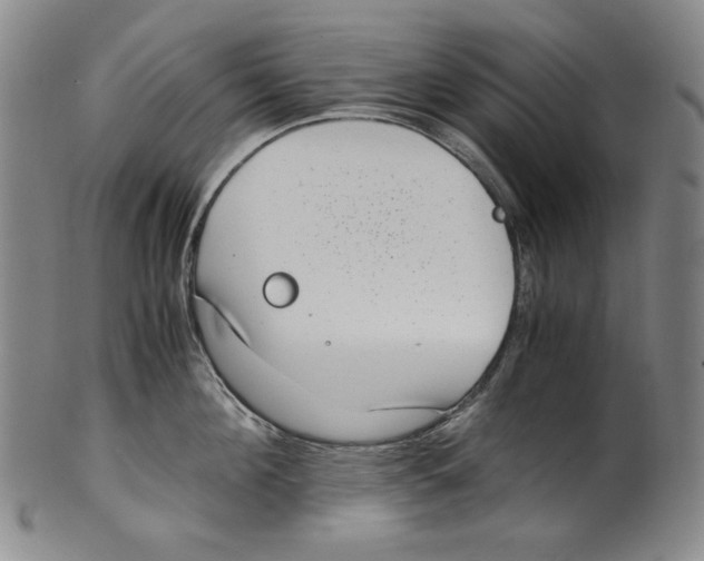 X0000100400908200806271417