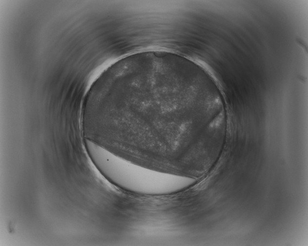 X0000100400910200806271417