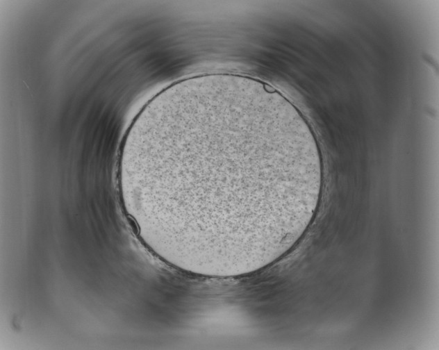 X0000100400912200806271417