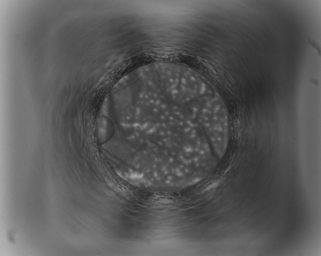X0000100400913200806271417