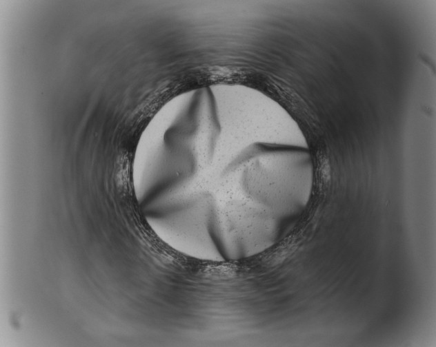 X0000100400914200806271417