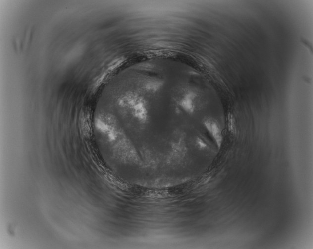 X0000100400915200806271417