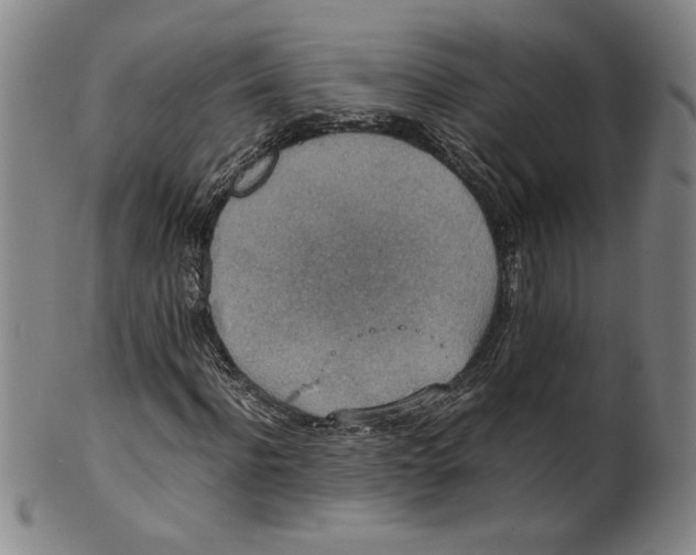 X0000100400916200806271417