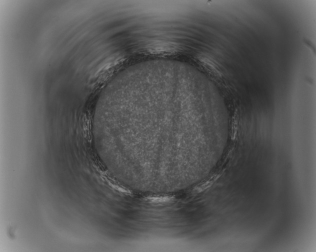 X0000100400917200806271417