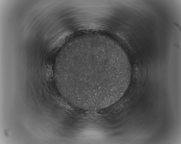 X0000100400918200806271417