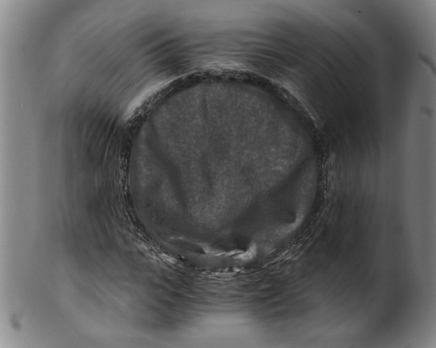 X0000100400919200806271417