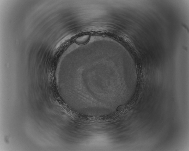 X0000100400920200806271417