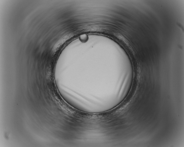 X0000100400922200806271417