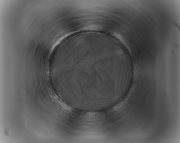 X0000100400923200806271417
