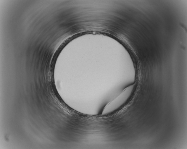 X0000100400924200806271417